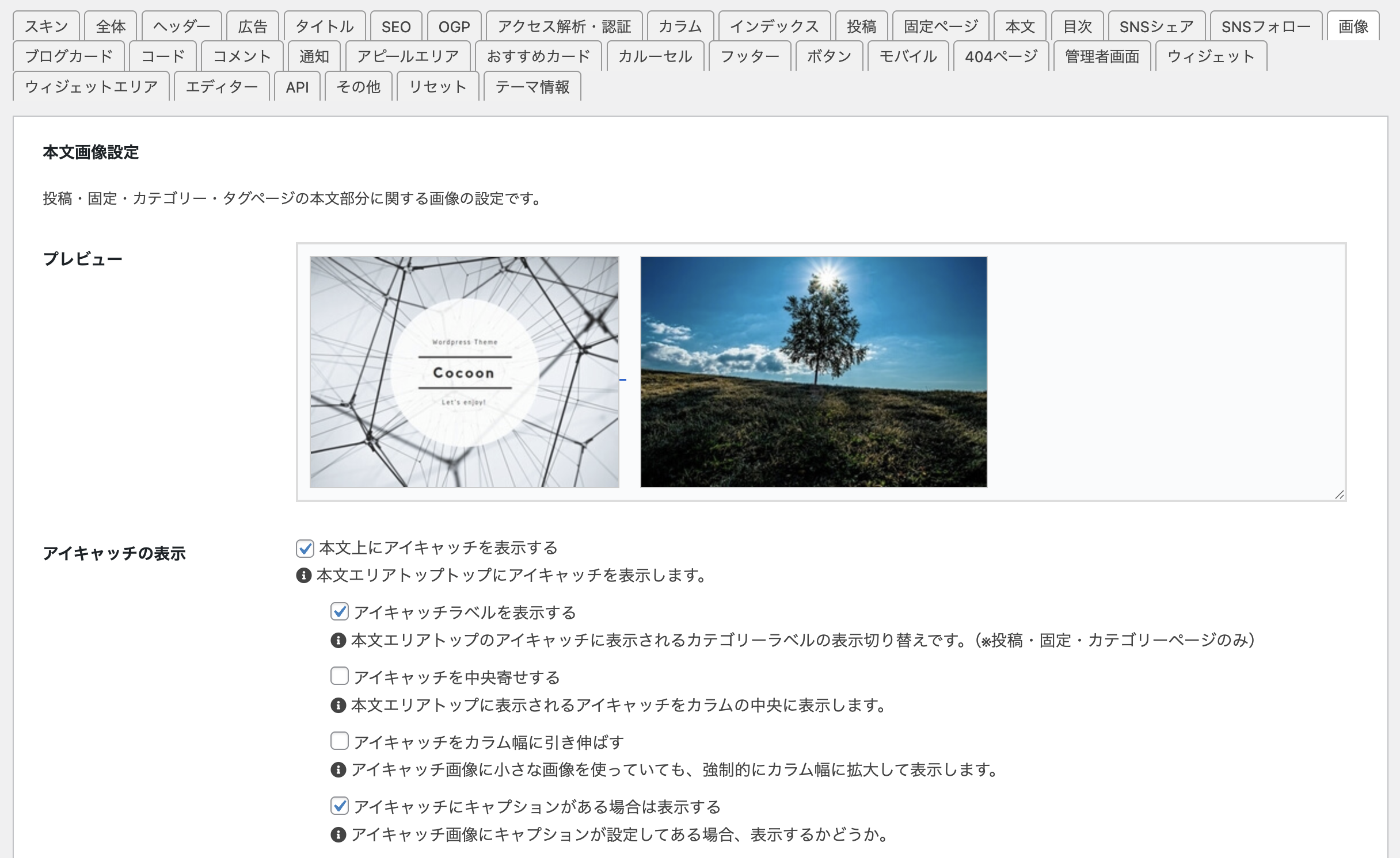 Cocoon設定の画像タブを開いてもRetinaディスプレイの項目が見当たらない状態