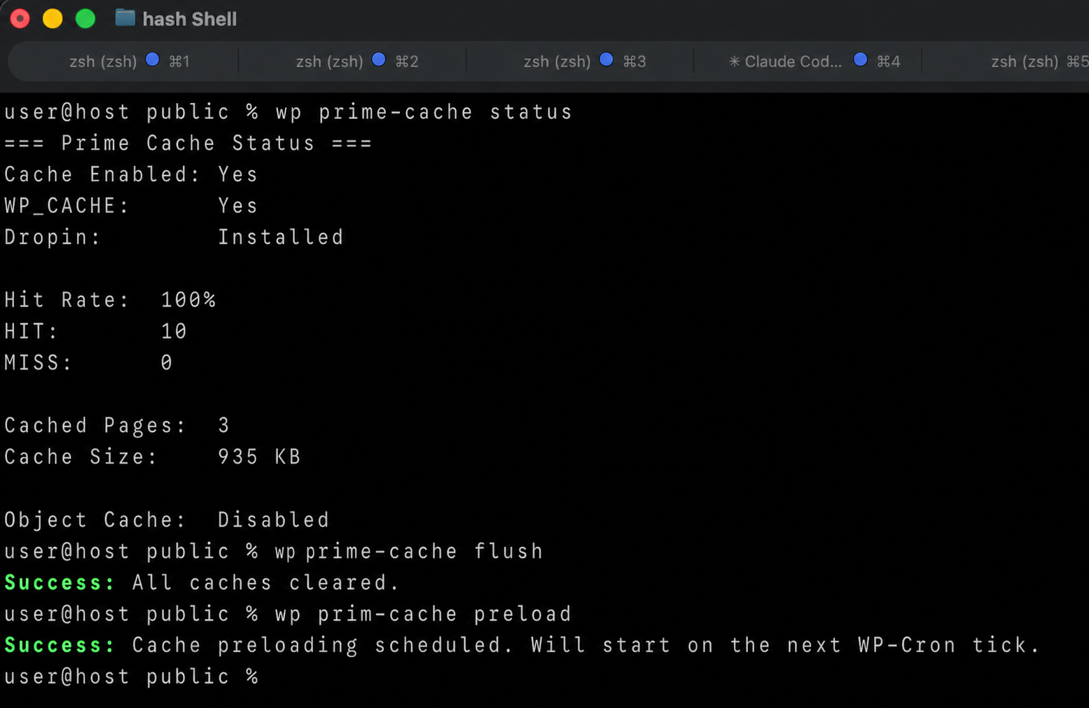 wp prime-cache コマンドの実行例(status / flush / preload) — WP-CLI からキャッシュ状態の確認と操作