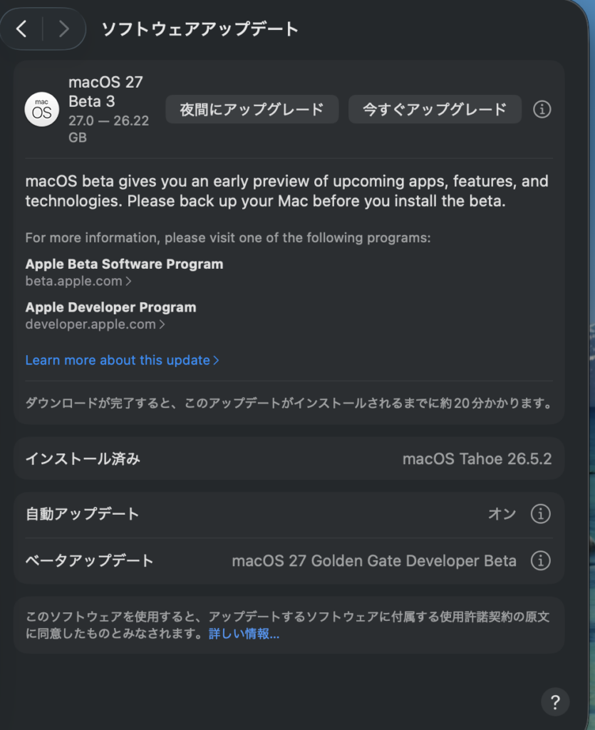 ダウンロードは26.22GB。インストールは約20分の表示。バックアップ推奨の注意もここに出る