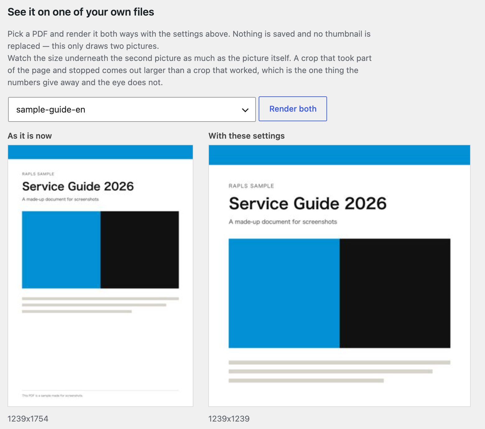 "See it on one of your own files": pick a PDF, press Render both, and the current thumbnail appears next to the result of these settings