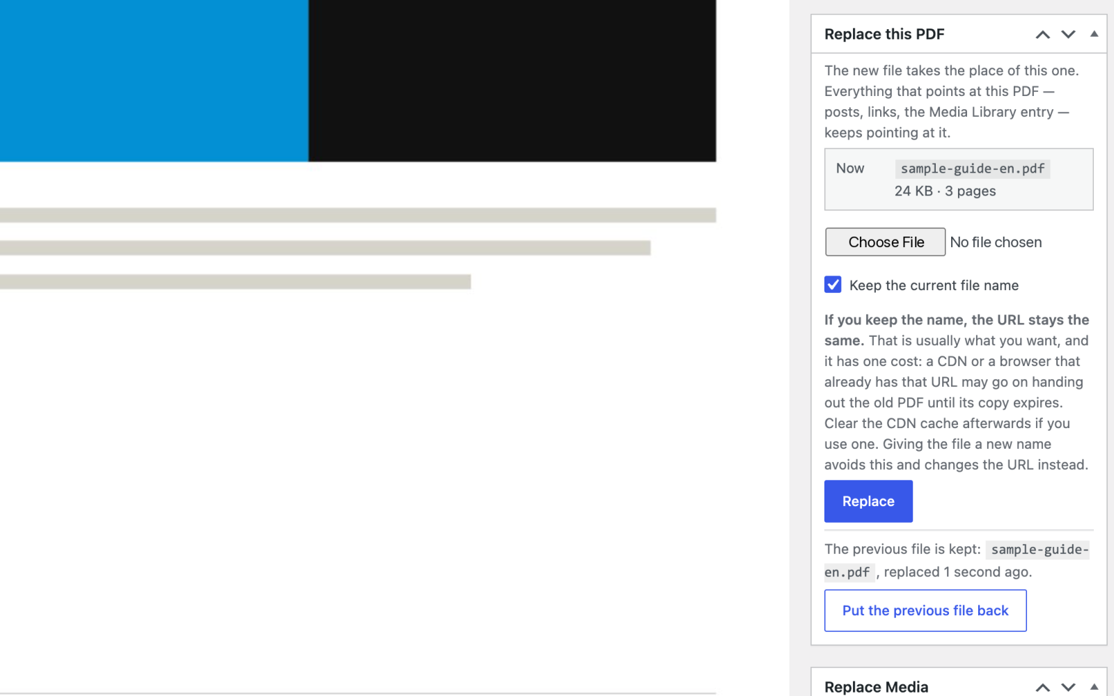 The "Replace this PDF" box on a PDF's edit screen, with "Keep the current file name" and "Put the previous file back"